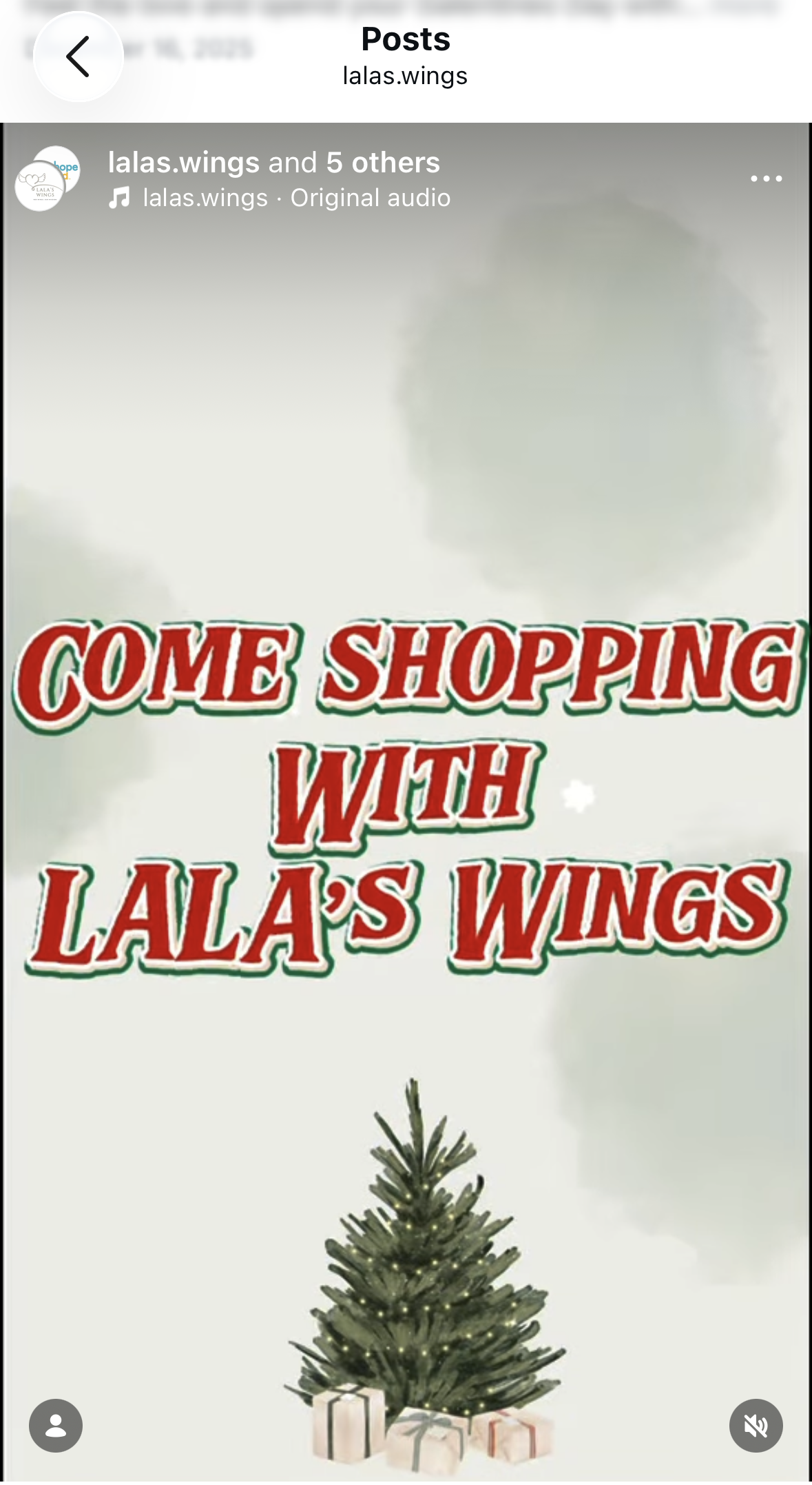 Lala's Holiday Magic Instagram Reel
